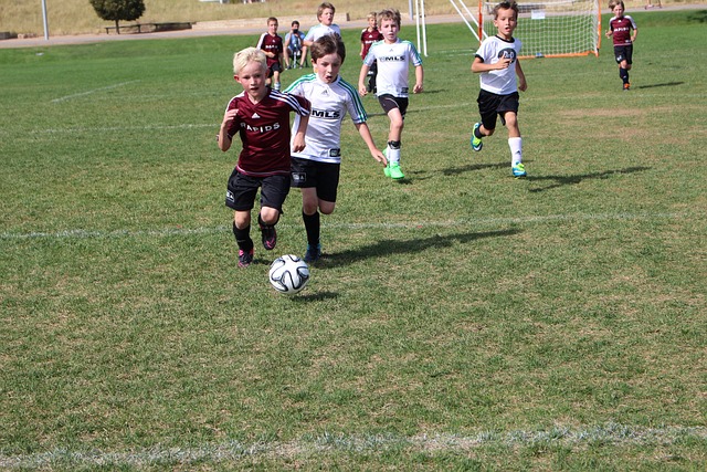 可以一定程 可以一定程