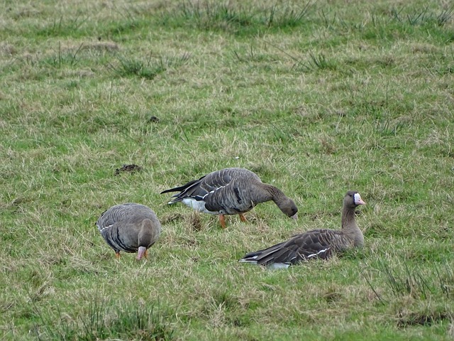 这一趋势的 这一趋势的